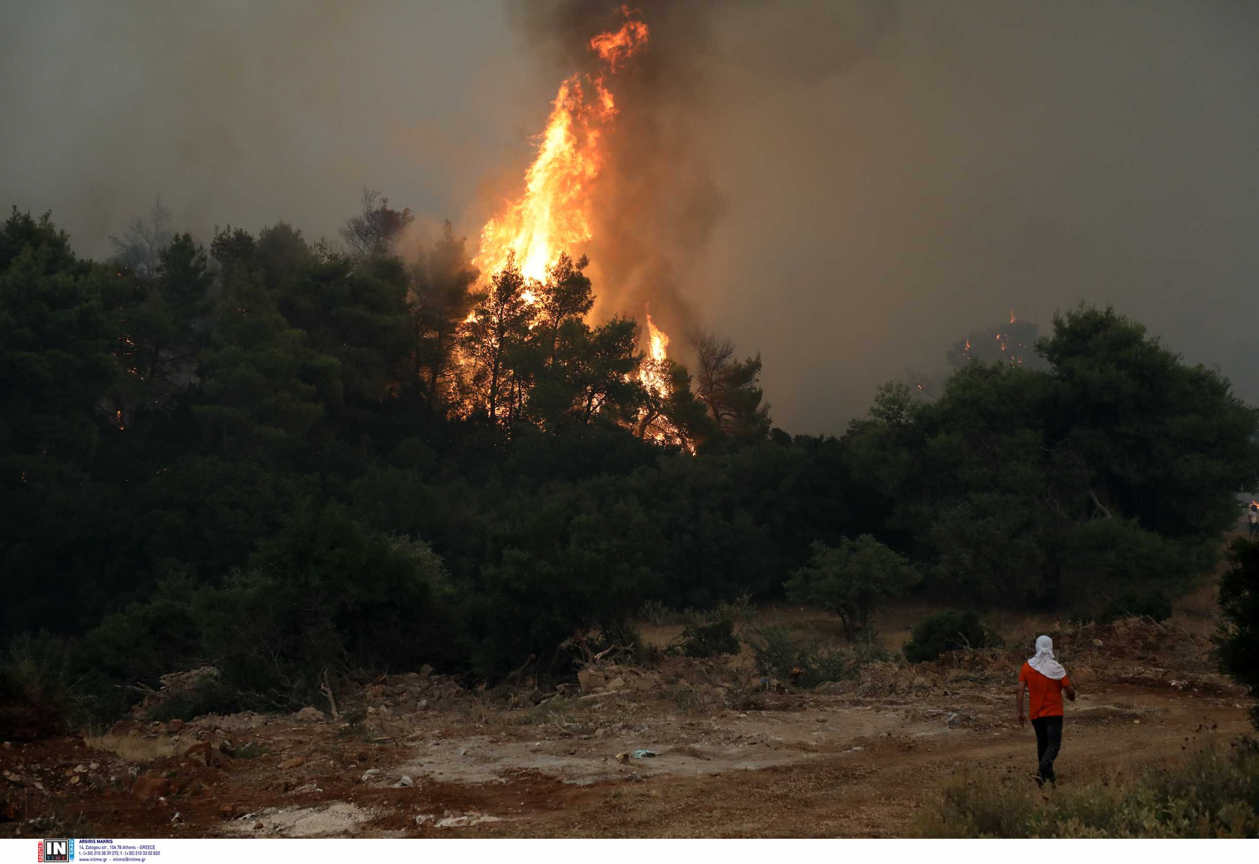 Φωτιά στα Βίλια: Δύσκολη νύχτα μετά την αναζωπύρωση στον Προφήτη Ηλία