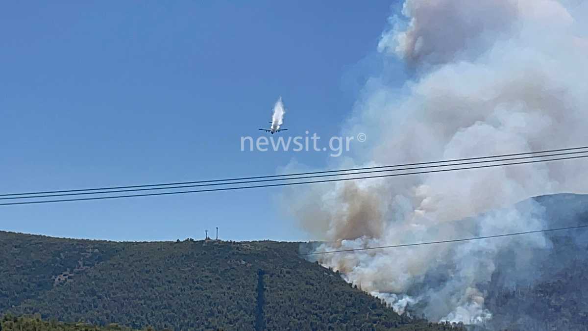 Φωτιά στα Βίλια: Γίγαντες των αιθέρων στη μάχη της κατάσβεσης – Επιχειρούν και τα Ilyushin