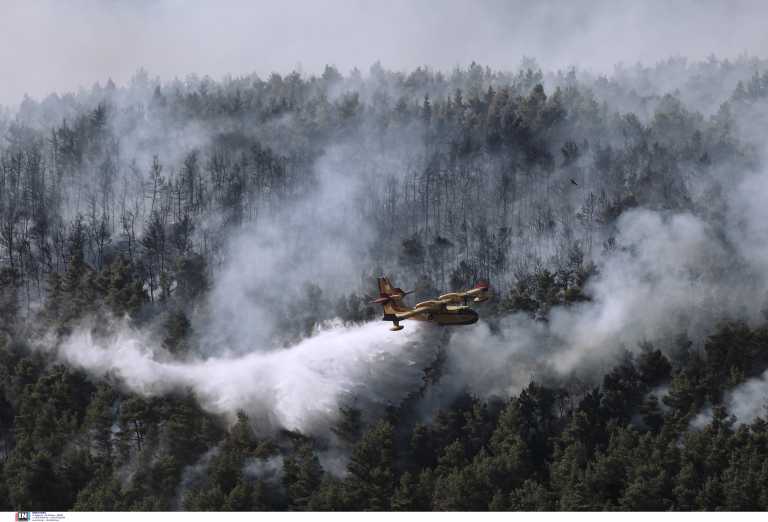 Ύπο μερικό έλεγχο η φωτιά στο Μαρκόπουλο Ωρωπού - 31 δασικές πυρκαγιές το τελευταίο 24ωρο