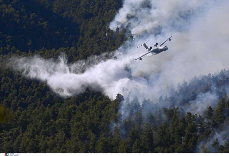 Φωτιά στα Βίλια: Μάχη με τις αναζωπυρώσεις – Καίγεται πυκνό δάσος στο Όρος Πατέρας