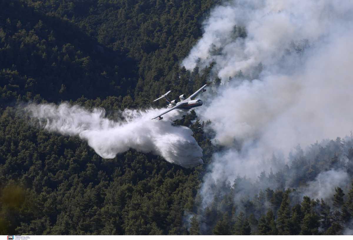 Δύσκολες ώρες για τη Λίτσα Γιαγκούση στα Βίλια: «Βλέπω αναζωπυρώσεις και ανησυχώ»