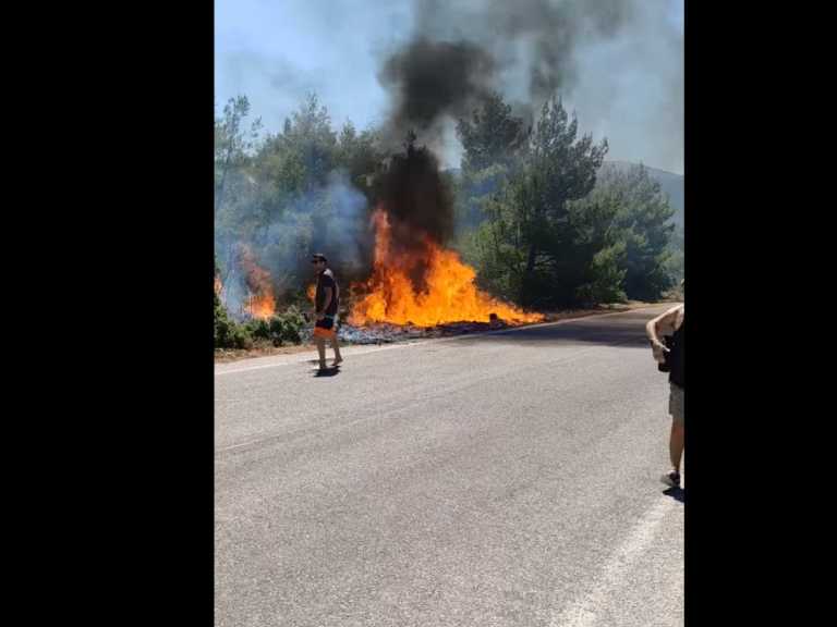 Φωτιά στα Βίλια: Έτσι ξεκίνησε η πυρκαγιά – Βίντεο ντοκουμέντο