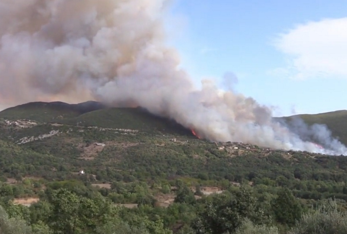 Φωτιά στη Μεγαλόπολη: Τραυματίστηκε αντιδήμαρχος – «Μας έκλεισε η φωτιά»