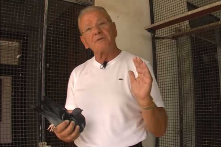 Dusan Ivkovic – Revelation by Vujosevic: “Infected by pigeons”