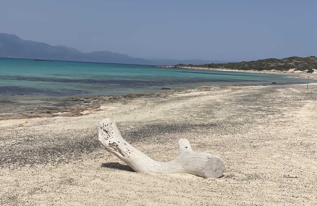 Νήσος Χρυσή: Αυστηρό καθεστώς προστασίας με εντολή του Κυριάκου Μητσοτάκη