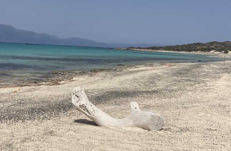 Νήσος Χρυσή: Αυστηρό καθεστώς προστασίας με εντολή του Κυριάκου Μητσοτάκη - «Διαμάντι της Κρήτης»