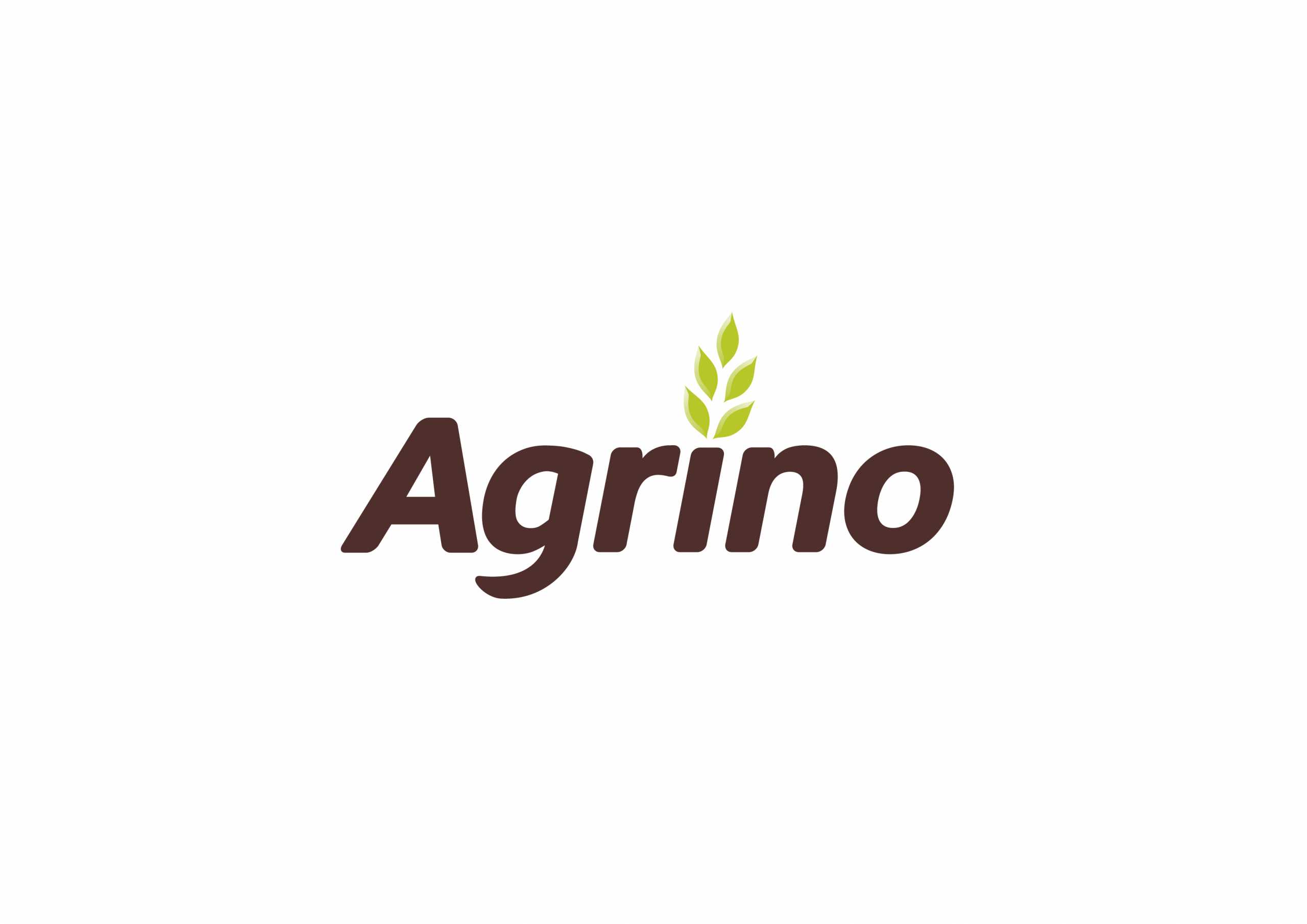 Agrino: Σημαντική αύξηση πωλήσεων το 2020 – Πώς κινήθηκε η ζήτηση για ρύζι, όσπρια και ρυζογκοφρέτες