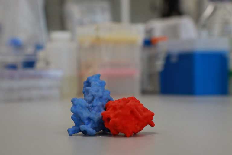 Coronavirus: Antibody test works in five minutes