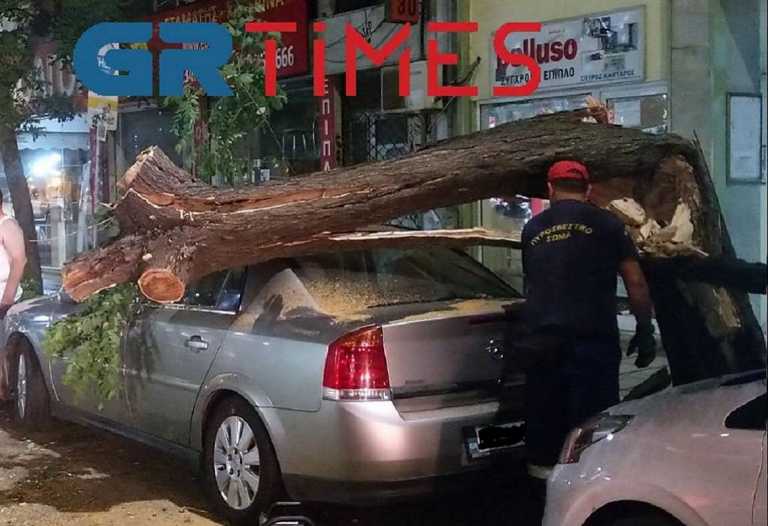 Θεσσαλονίκη: Δέντρο καταπλάκωσε αυτοκίνητο στο κέντρο της πόλης