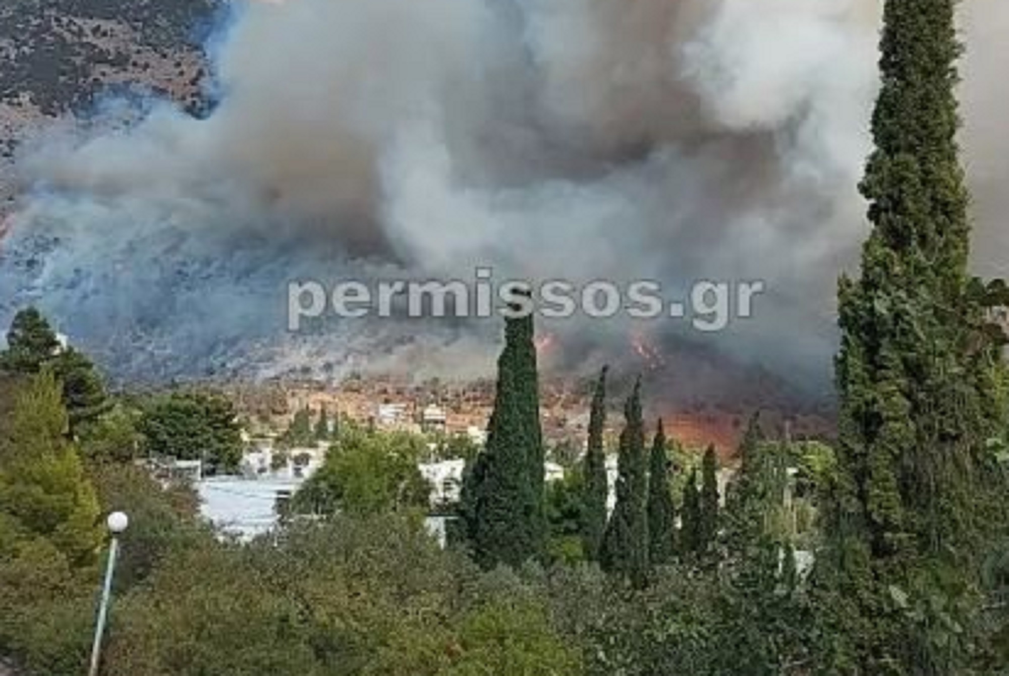 Φωτιά στα Άσπρα Σπίτια στο Δίστομο