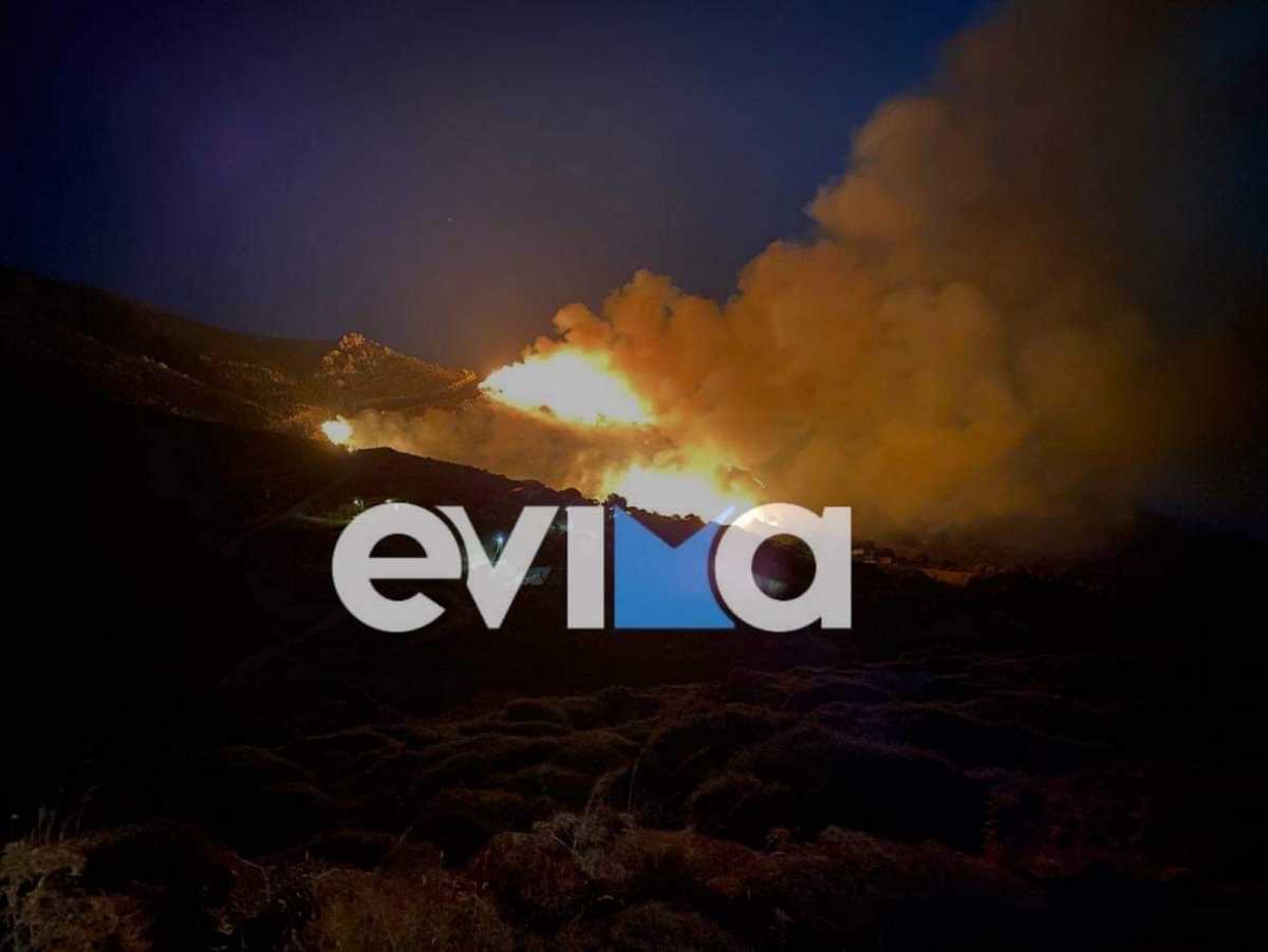 Εύβοια: Φωτιά στην Κάρυστο – Ξέσπασε στο χωριό Θύμη