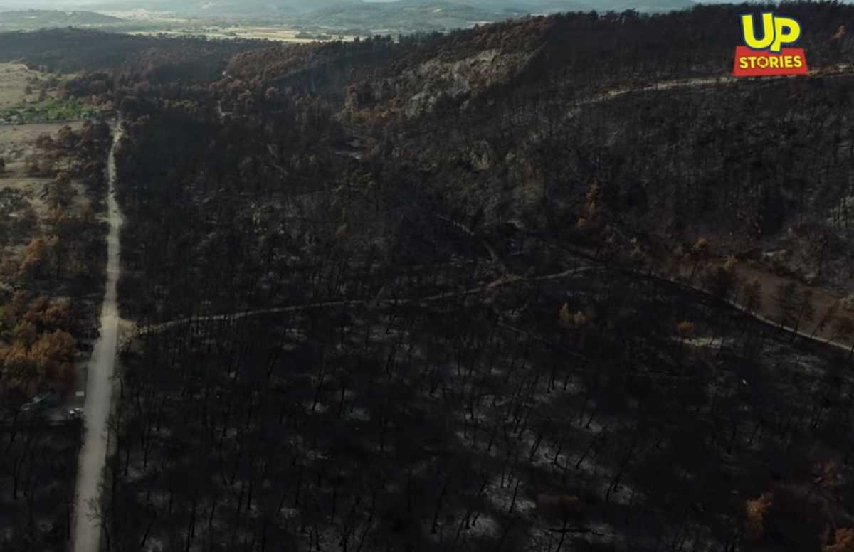 Εύβοια: Δείτε τις αποκαρδιωτικές εικόνες από drone ένα μήνα μετά την καταστροφική φωτιά
