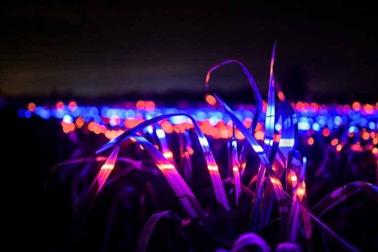 Light pollution has increased by up to… 400% in the last 30 years!  The LED lamps are “guilty”