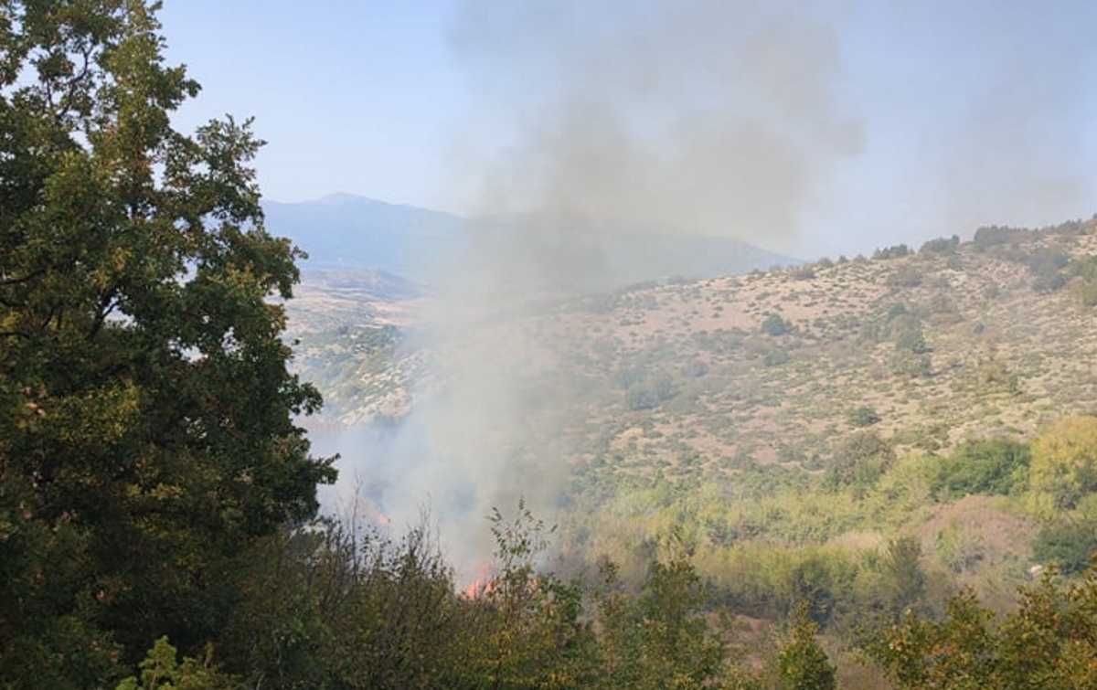 Φωτιά στην Κοζάνη – Σηκώθηκαν δύο αεροσκάφη