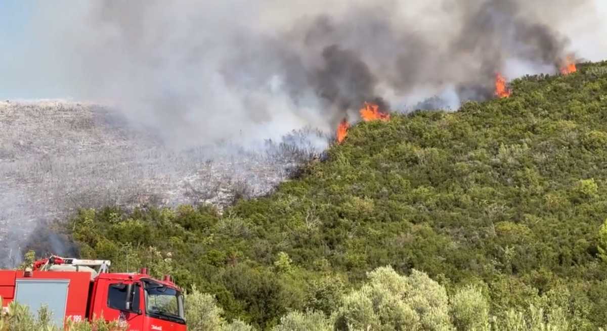 Φωτιά στη Μεγαλόπολη – Συναγερμός στην πυροσβεστική