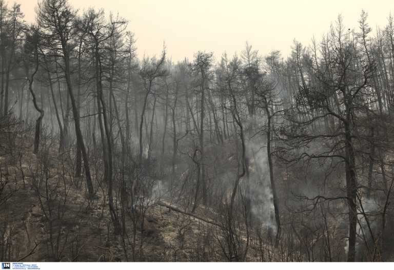 Compensation for the May-August fires: The JMC was published