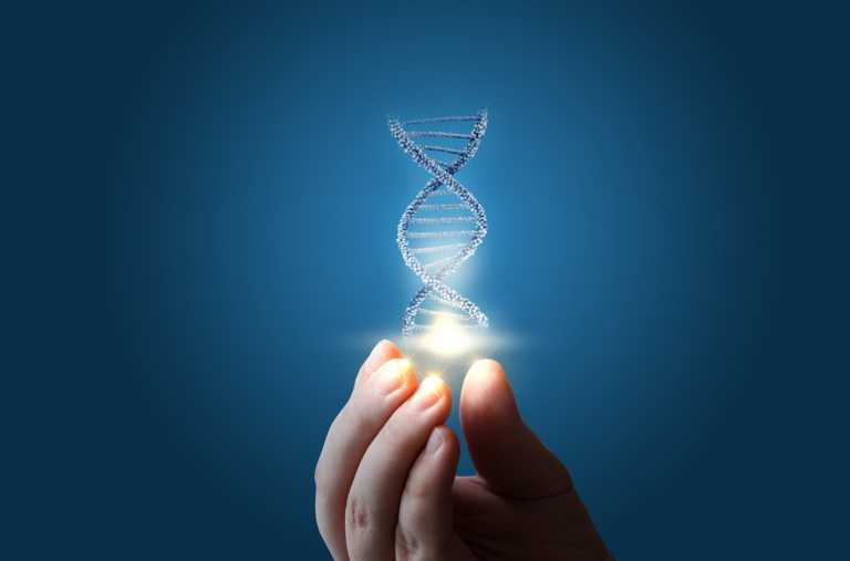 BIOMETRICS and SYMMETRIA: Collaboration with a view to the future