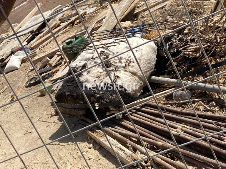 Καλύβια: Εικόνες καταστροφής από το σπίτι μετά την έκρηξη -  Σοβαρή η κατάσταση του πατέρα