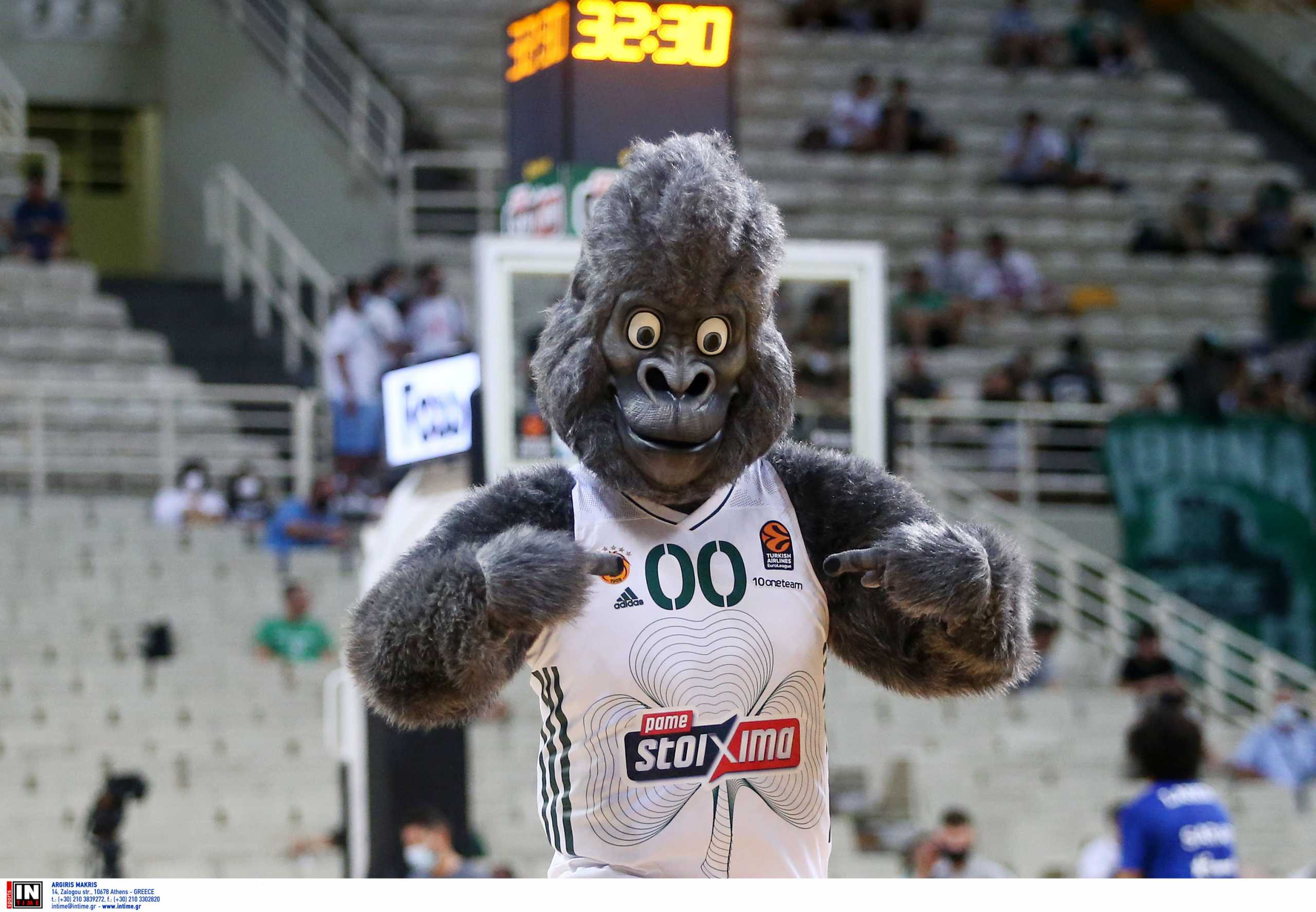 Η ΚΑΕ Παναθηναϊκός παρουσίασε τον «Green Kong»