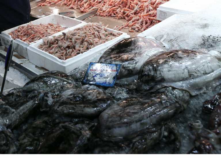 Έρχεται η «μπλε» επανάσταση στα τρόφιμα! Πρόβλεψη για διπλασιασμό των θαλασσινών μέχρι το 2050