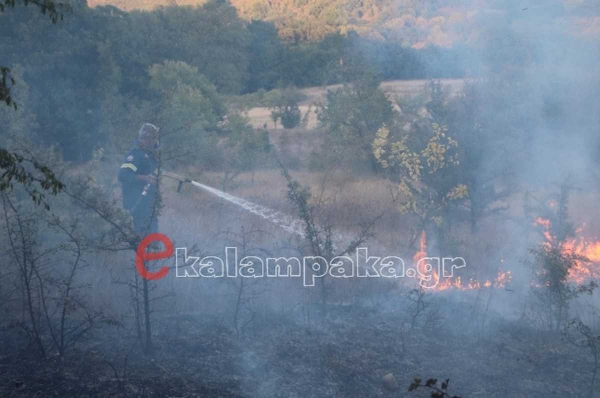 Τρίκαλα: Φωτιά στο Τριφύλλι Καλαμπάκας – Ισχυροί άνεμοι στην περιοχή