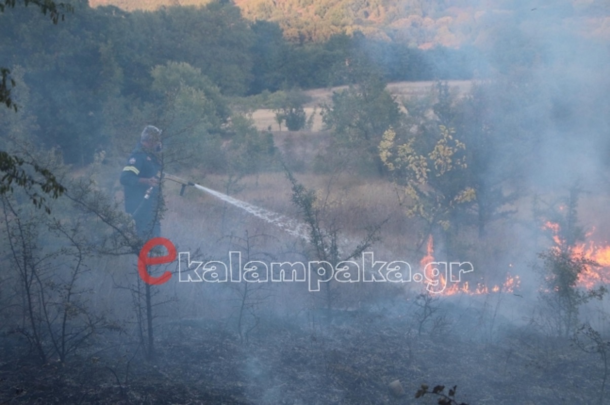 Τρίκαλα: Φωτιά στο Τριφύλλι Καλαμπάκας – Ισχυροί άνεμοι στην περιοχή