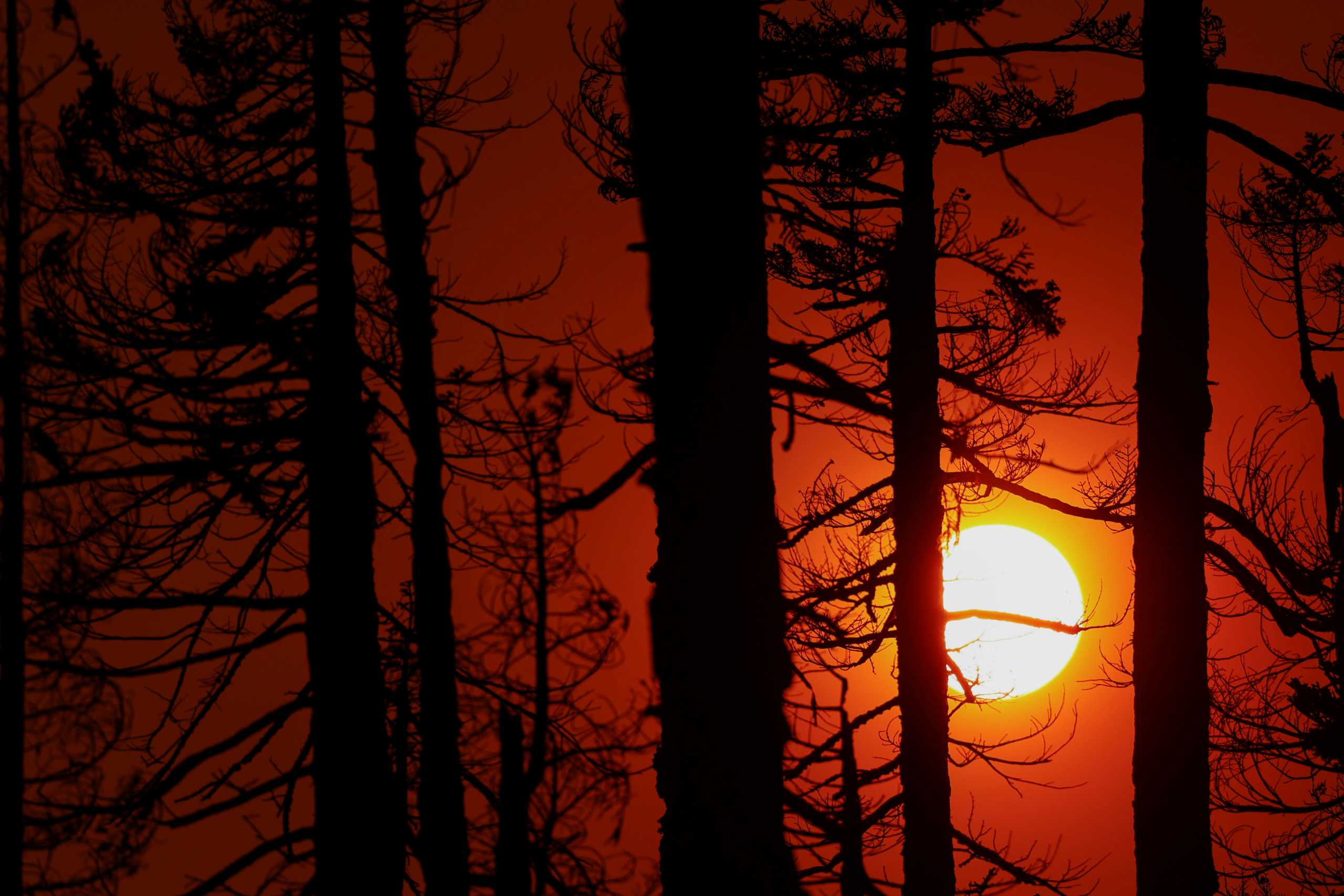 The sun sets behind burned trees and smoke from the Caldor Fire, in South Lake Tahoe, California, U.S., September 1, 2021. REUTERS