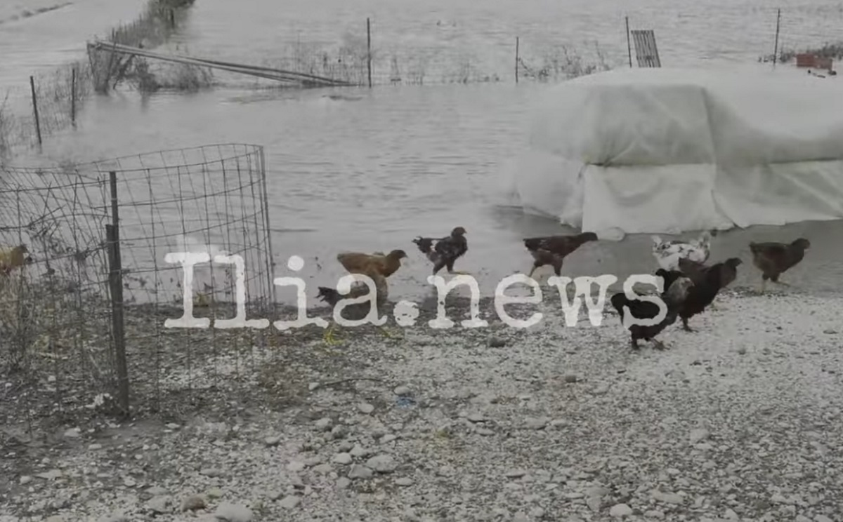 Καιρός – Ηλεία: Σε αυτές τις περιοχές υπάρχουν τα σοβαρότερα προβλήματα