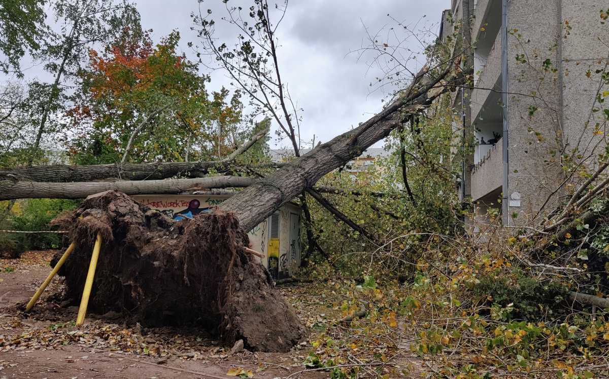 Μιλάνο: Τραυματισμοί από στέγες και δέντρα που «ξήλωσαν» οι θυελλώδεις άνεμοι