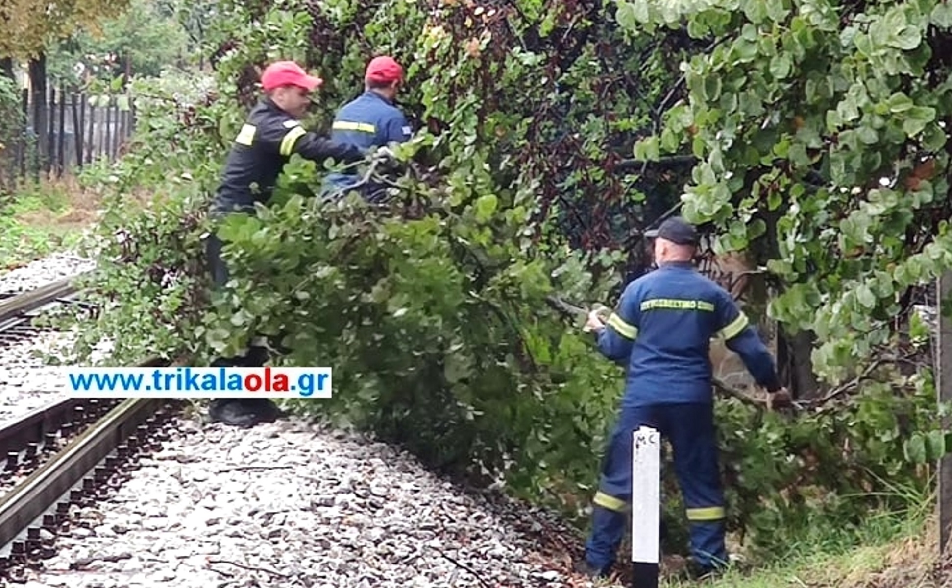 Κακοκαιρία «Αθηνά» – Τρίκαλα: Μεγάλο δέντρο έπεσε στις γραμμές του ΟΣΕ – Ακινητοποιήθηκε το τρένο