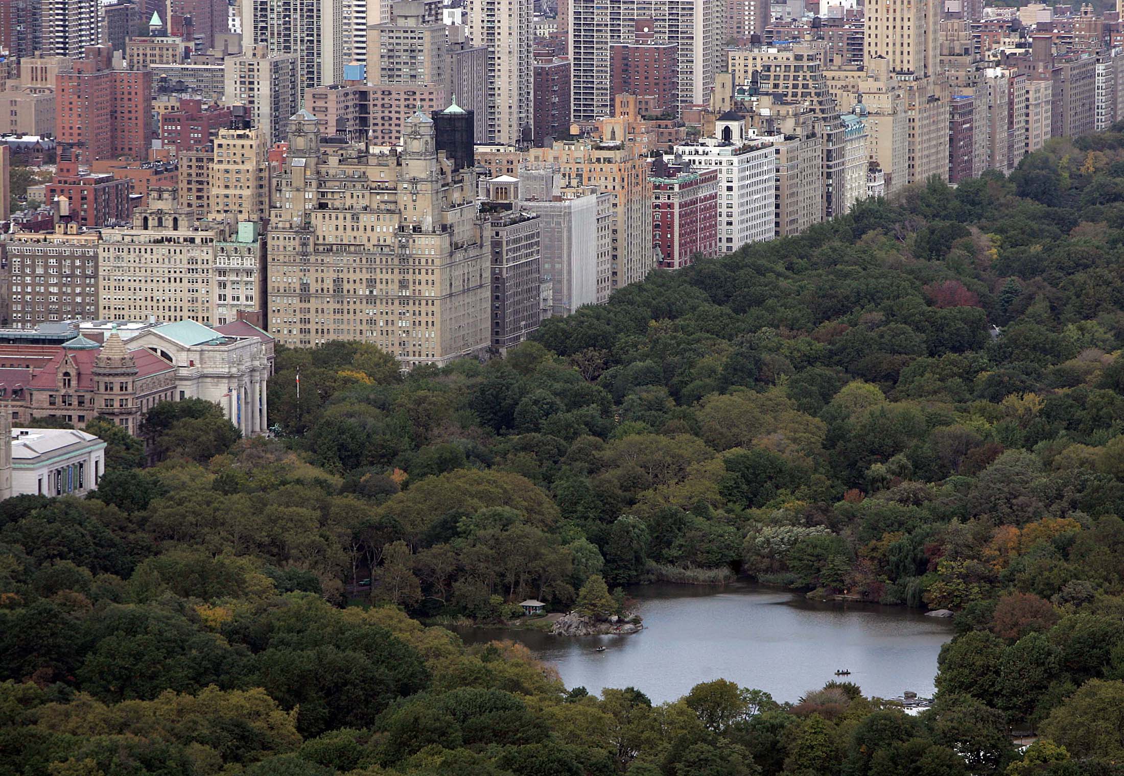 A view of Central Park in a file photo.  REUTERS