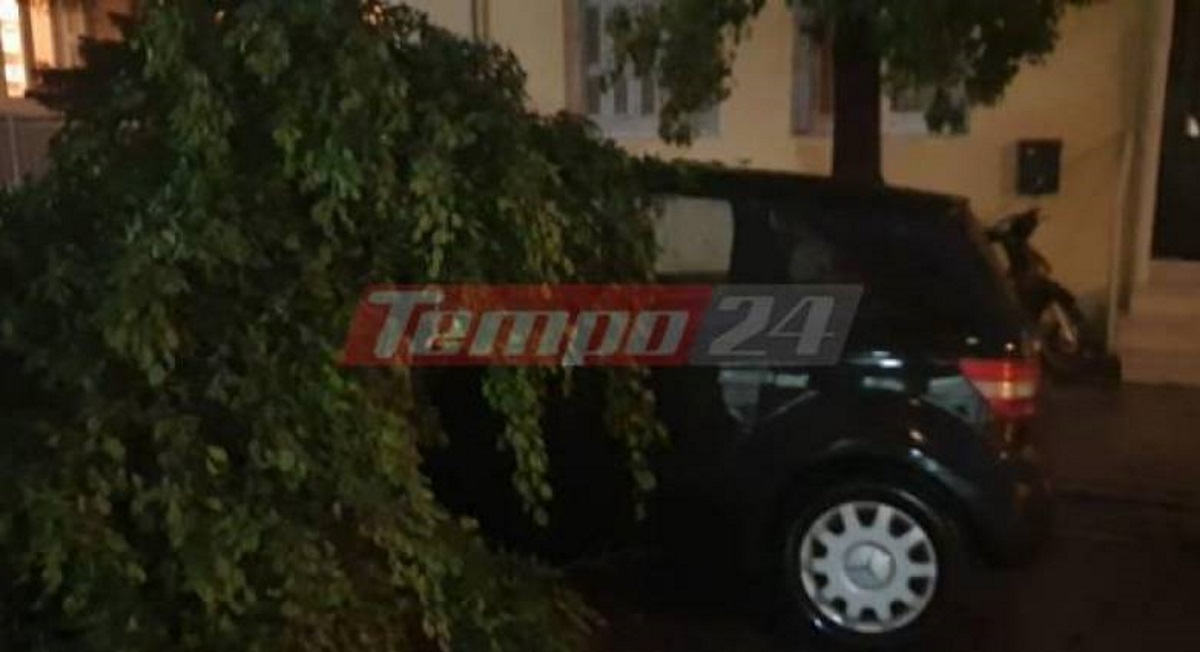 Κακοκαιρία «Αθηνά»: Ισχυρή καταιγίδα στην Πάτρα «ξηλώνει» δέντρα – Εγκλωβίστηκε αγρότης