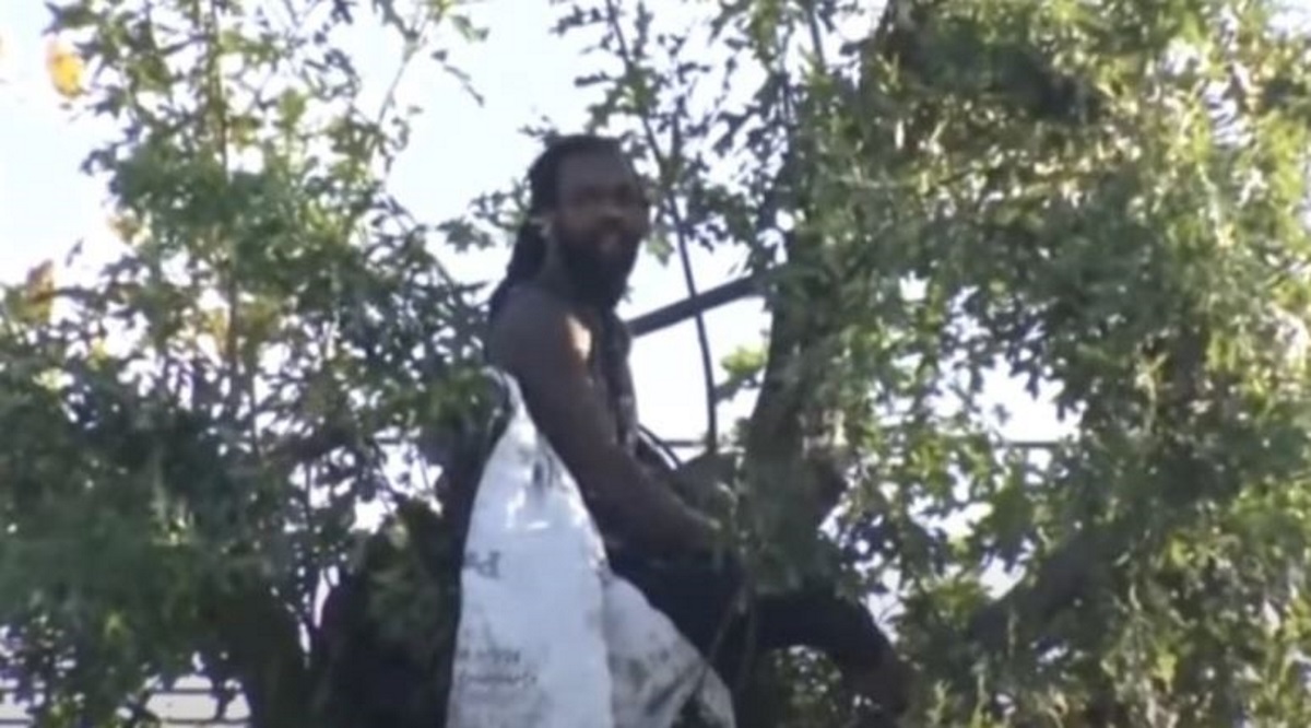 ΗΠΑ: Έμεινε πάνω από 48 ώρες σκαρφαλωμένος σε δέντρο για να αποφύγει την σύλληψη