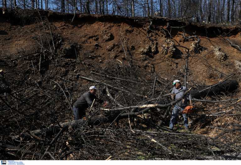 Κακοκαιρία «Αθηνά» – meteo: Κίνδυνος για πλημμύρες στις πυρόπληκτες Εύβοια και Δυτική Ελλάδα