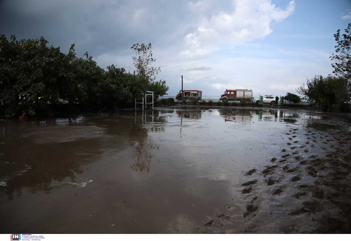 Καιρός – Σάκης Αρναούτογλου: Απίστευτη ποσότητα βροχής έπεσε στη Ζαγορά Πηλίου
