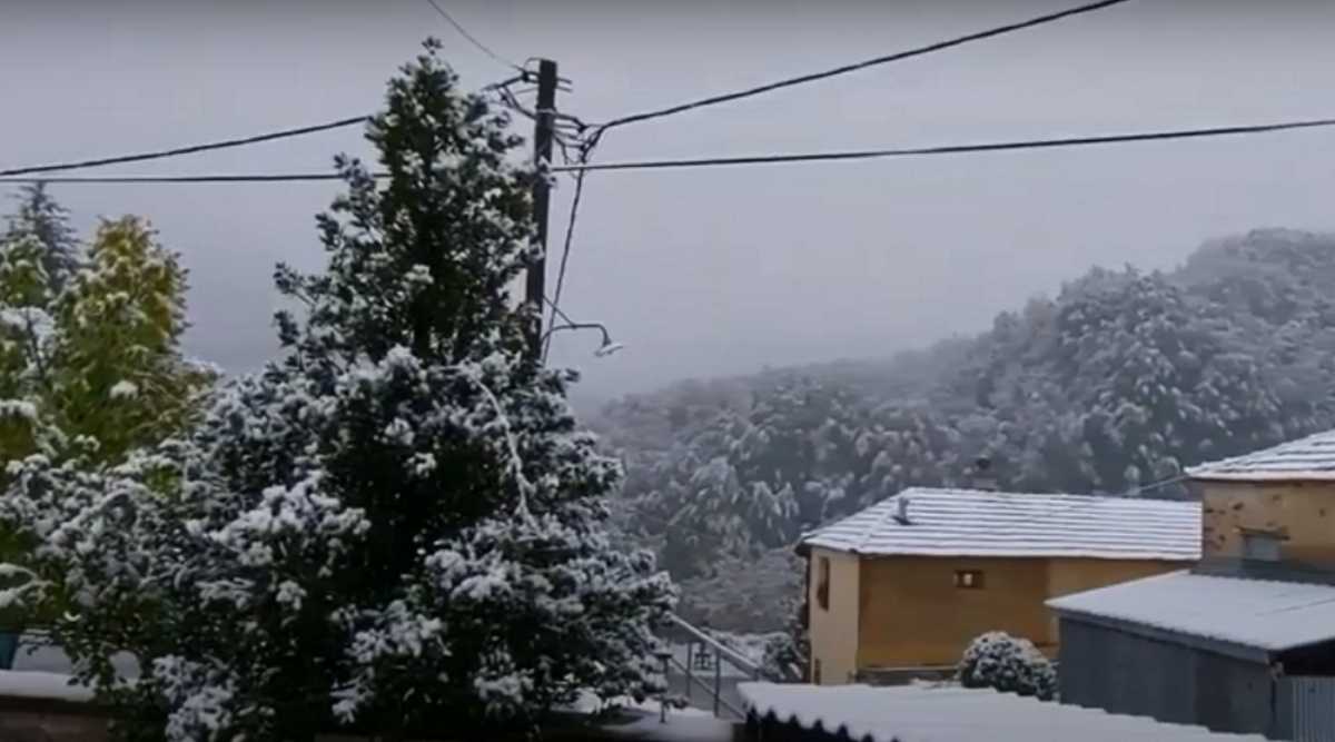 Κακοκαιρία «Μπάλλος»: Χιόνισε σε Τρίκαλα και Φλώρινα - Βίντεο με τα πρώτα  χιόνια
