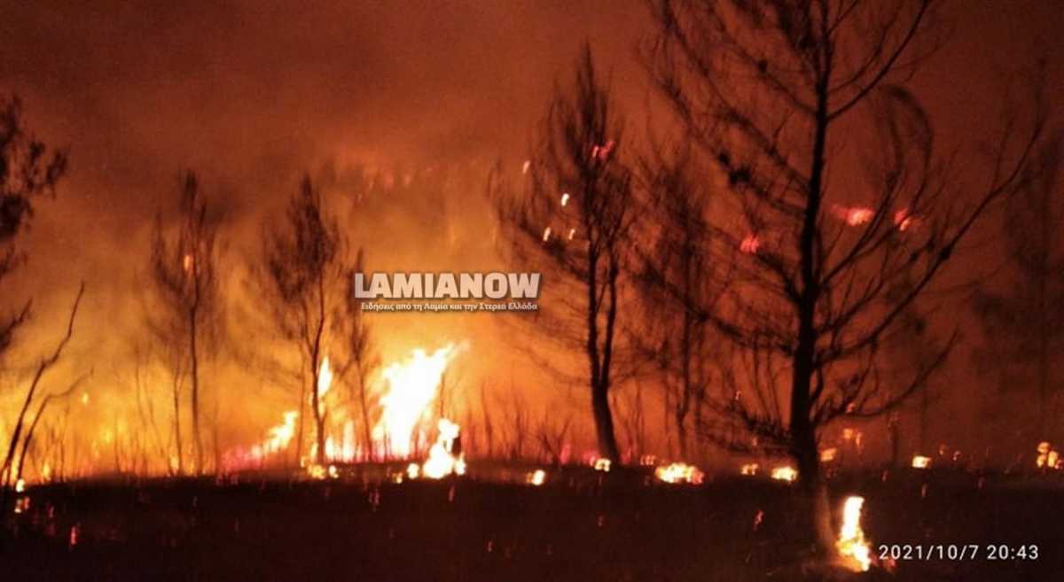 Φωτιά στο Μαρτίνο – Καίει στην περιοχή «Μοναχού»