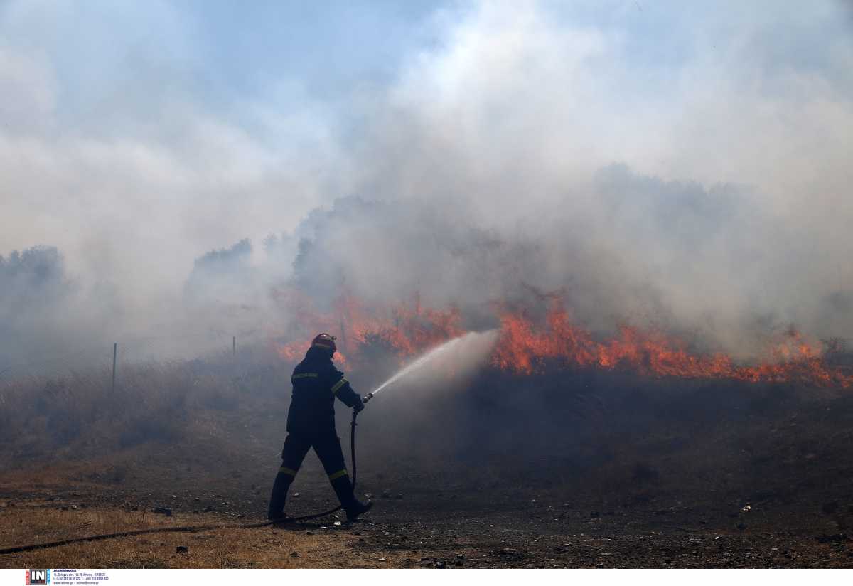 Φωτιά στην Ανατολική Μάνη: Τέθηκε υπό μερικό έλεγχο