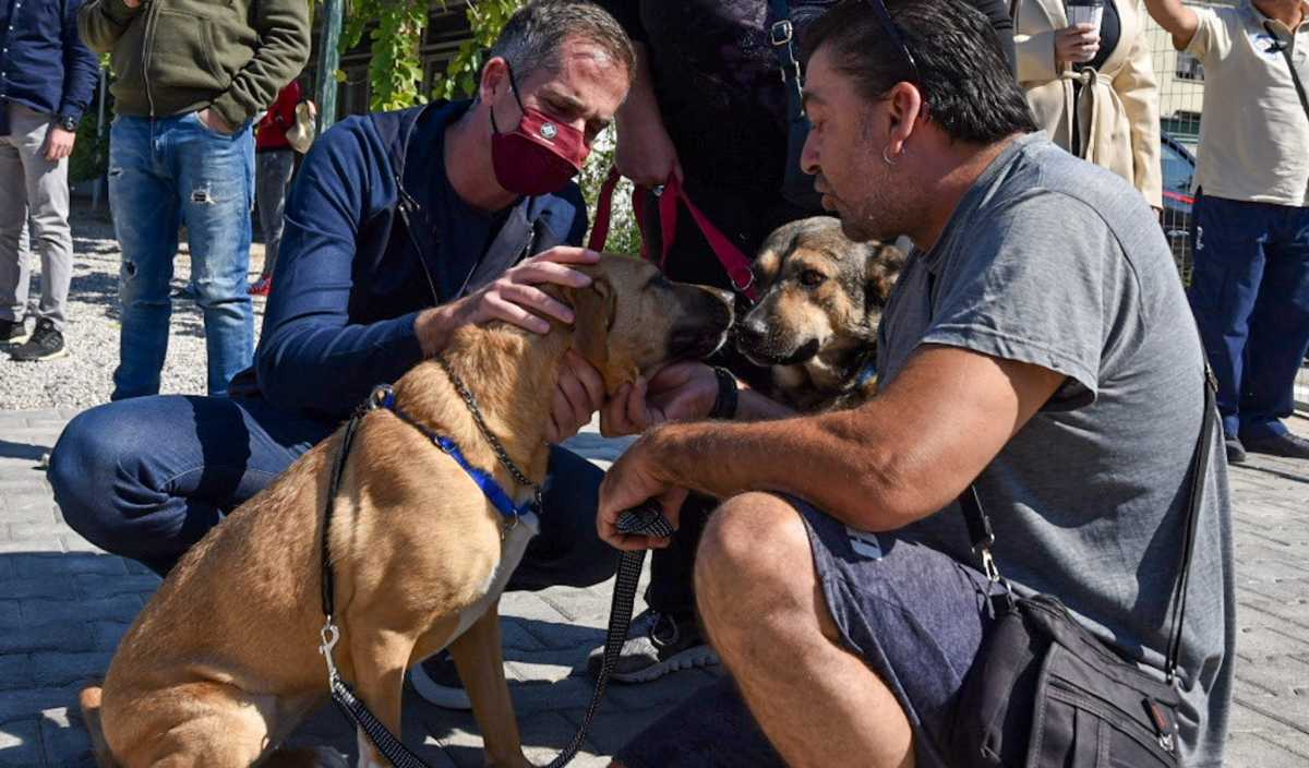 Παγκόσμια Ημέρα των Ζώων – Ο Κώστας Μπακογιάννης παρέα με αδέσποτα στο Καταφύγιο του Σωκράτη