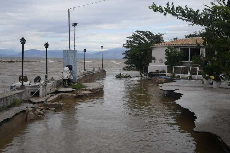 Λέκκας για «Μπάλλο»: Πάνω από 75 εκατ. τόνοι νερού σε Αττική, Εύβοια και Ηλεία