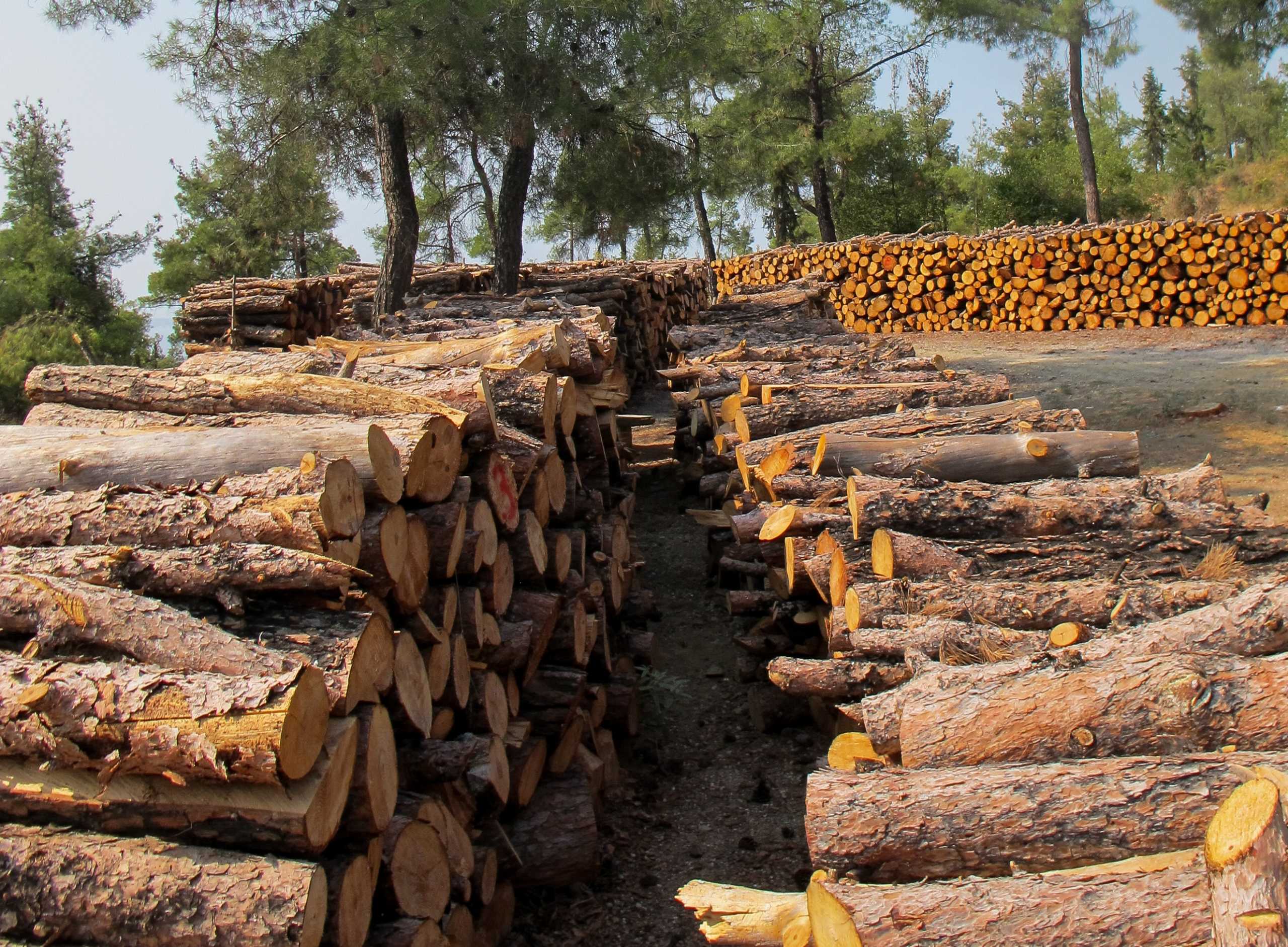 Θέρμανση: Επιστρέφουν στα ξύλα οι καταναλωτές – Πωλήσεις πετρελαίου ενός μήνα μέσα τρεις μόνο μέρες