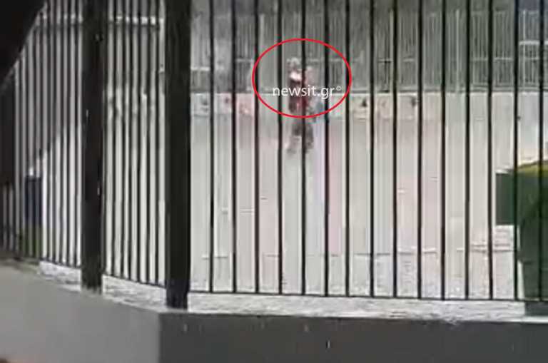 Κακοκαιρία «Μπάλλος» – Νέα Φιλαδέλφεια: Συγκλονιστικές εικόνες μέσα από το πλημμυρισμένο νηπιαγωγείο