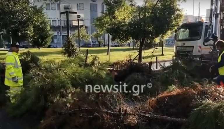 Καιρός – Περιστέρι: Δέντρο έπεσε στη μέση του δρόμου από τη σφοδρή κακοκαιρία