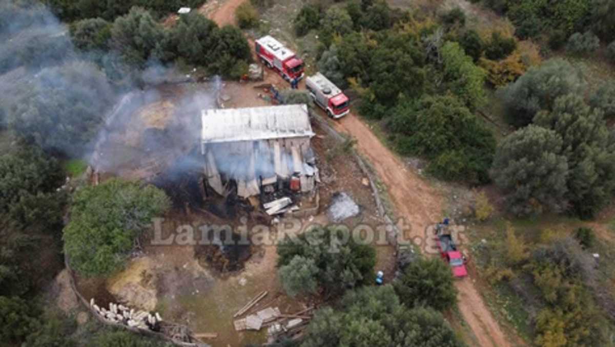 Φθιώτιδα: Αποκρουστικές εικόνες σε φλεγόμενη στάση – Κάηκαν ζωντανά τα ζώα του κτηνοτρόφου