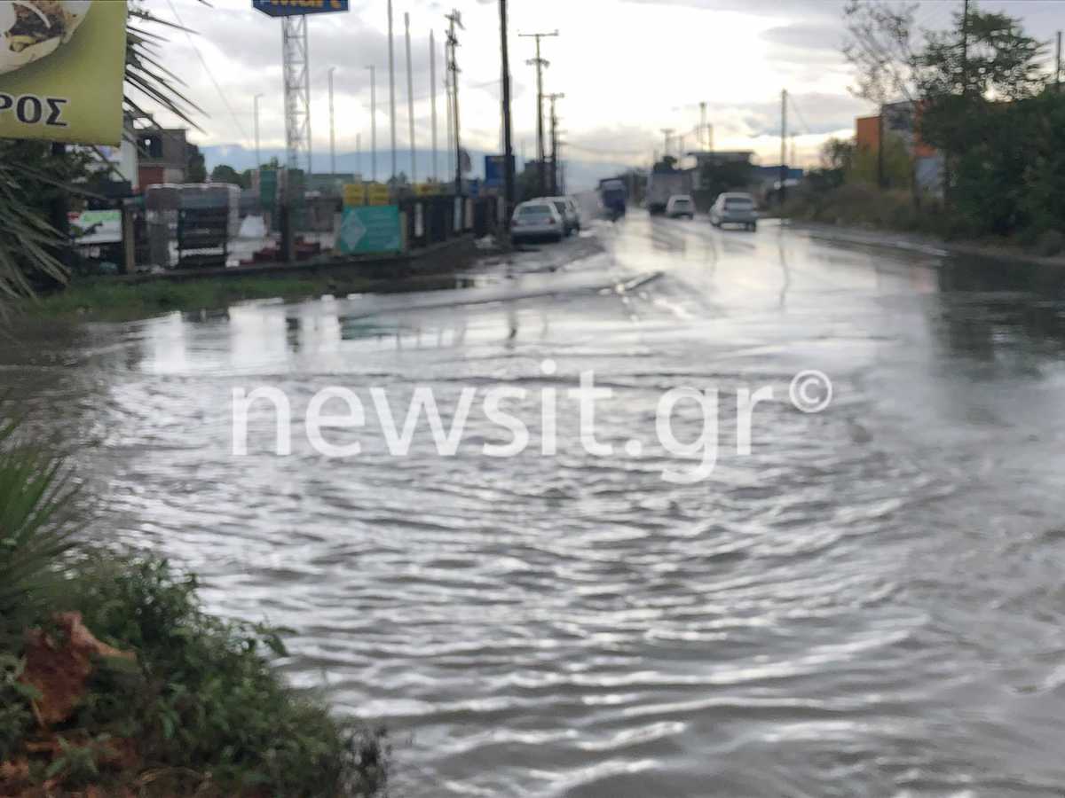 Καιρός – Θεσσαλονίκη: Δρόμοι ποτάμια και μεγάλα προβλήματα από την κακοκαιρία – Πεύκο έπεσε σε αυλή σχολείου