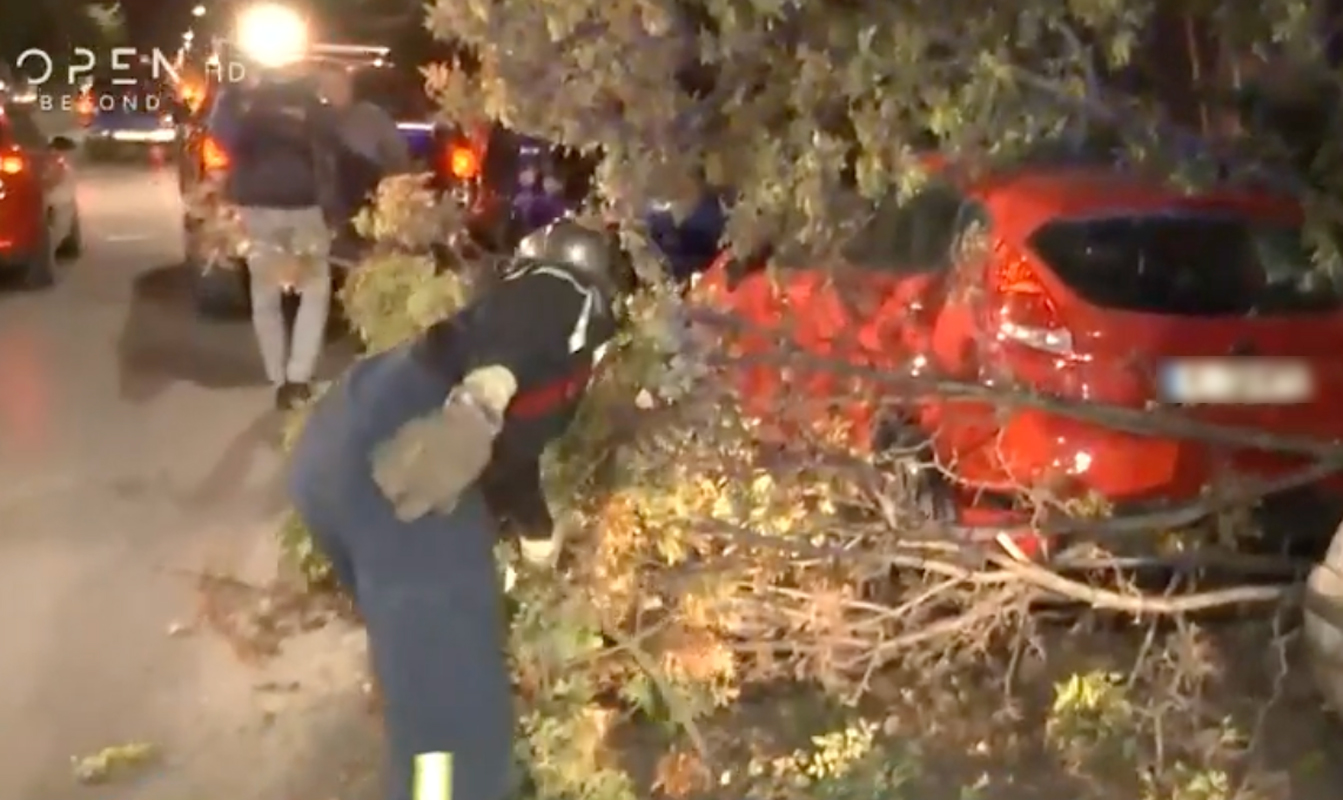 Κακοκαιρία Αθηνά: Πτώσεις δέντρων στη Θεσσαλονίκη, καταστράφηκαν αυτοκίνητα