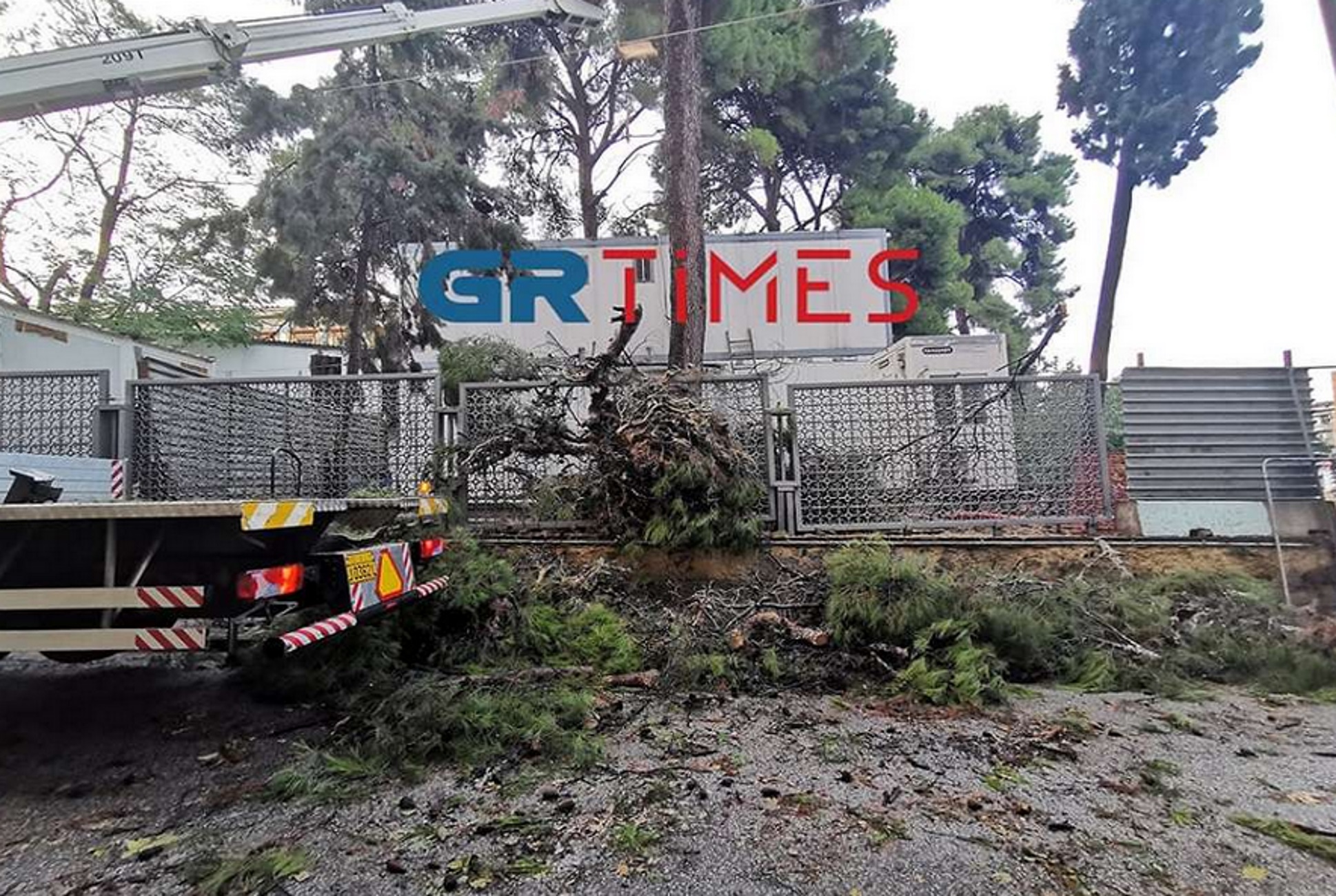 Κακοκαιρία Αθηνά: Πτώσεις δέντρων, ζημιές και διακοπές ρεύματος σε Θεσσαλονίκη και Χαλκιδική