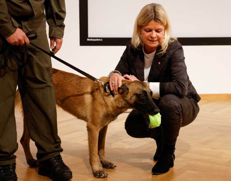 Αυστρία: Ο Στρατός εκπαίδευσε σκύλους για να μυρίζουν την Covid-19