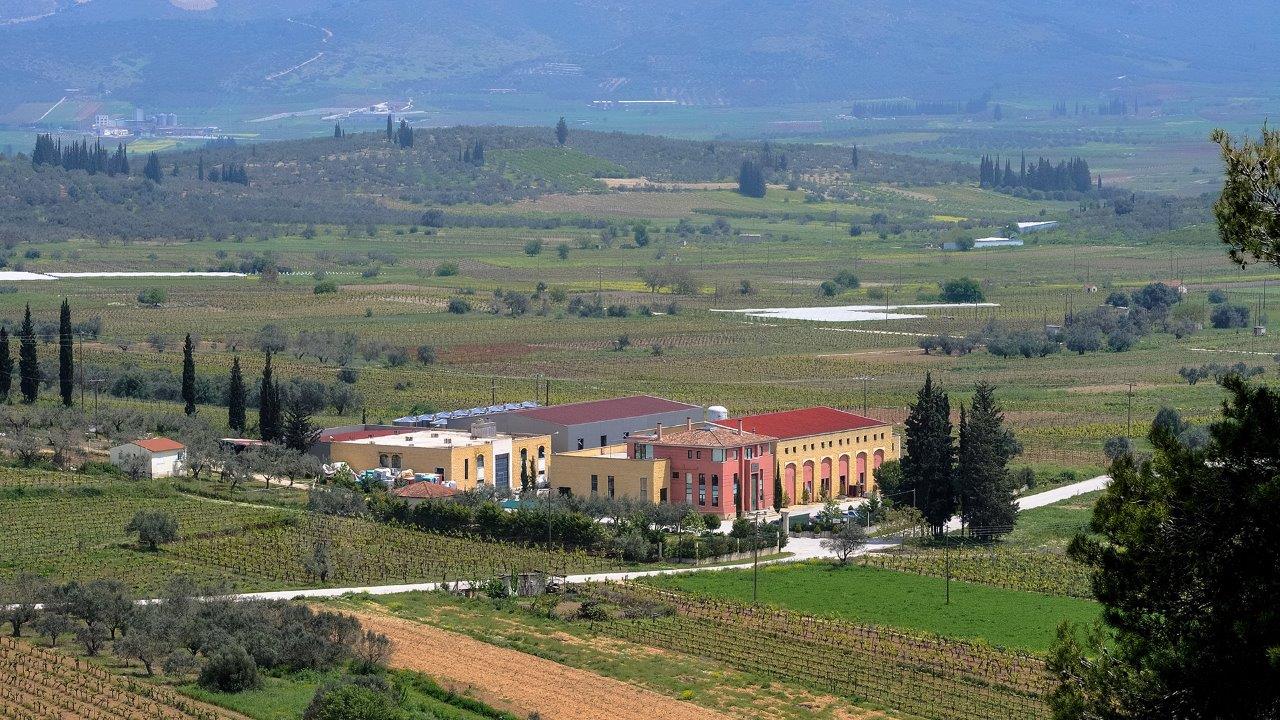 Spyros Lafazanis vineyards