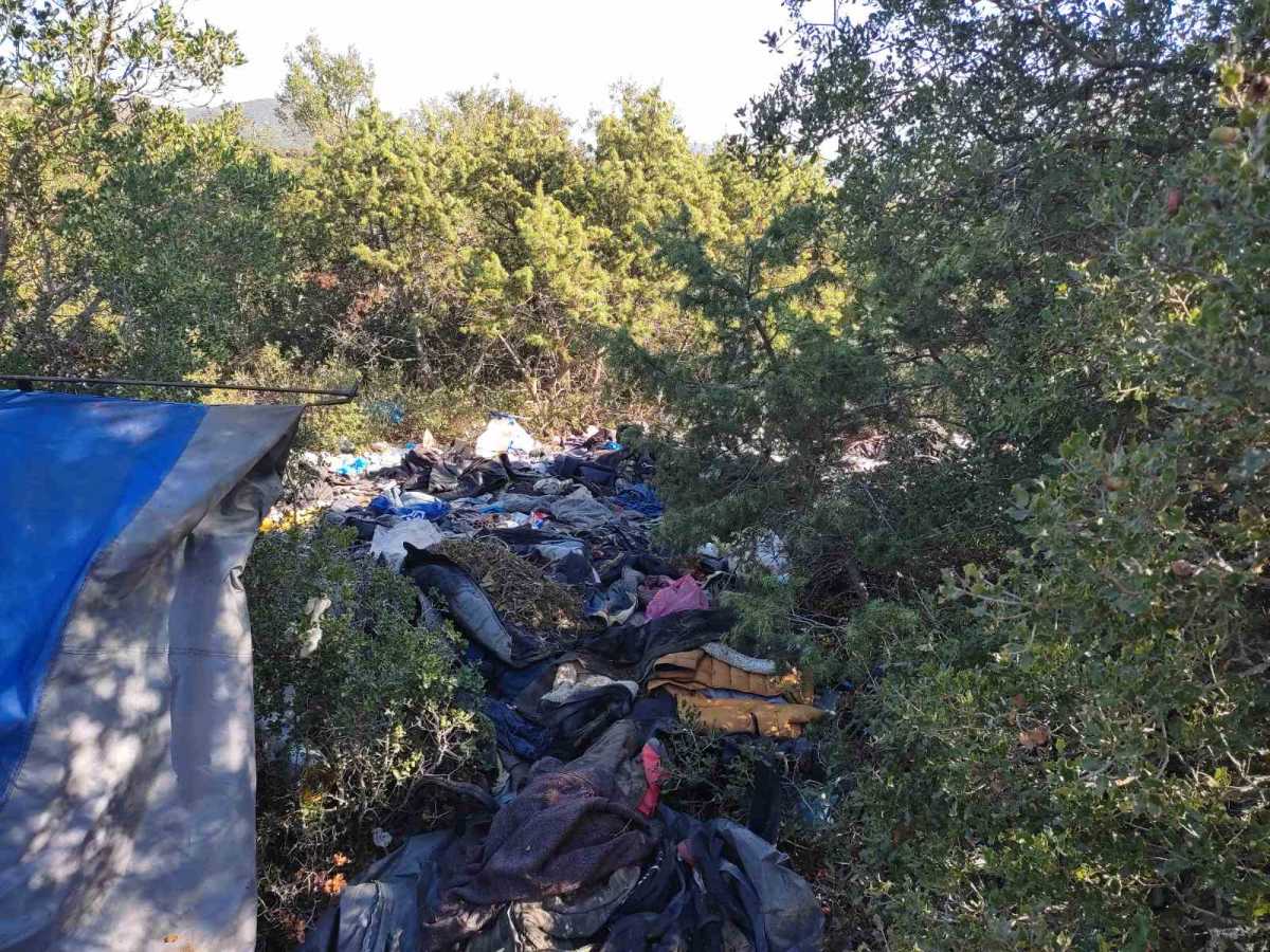 Θεσσαλονίκη: Φυλακισμένοι σε αυτό το δάσος – Η εικόνα από το μαρτύριο που έζησαν με ξύλο και απειλές